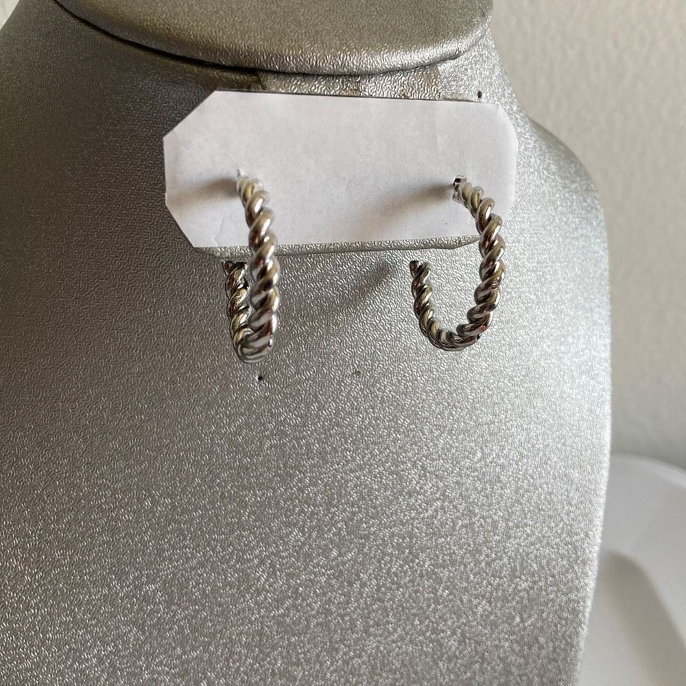 Hoop Earrings / Ear Piercings